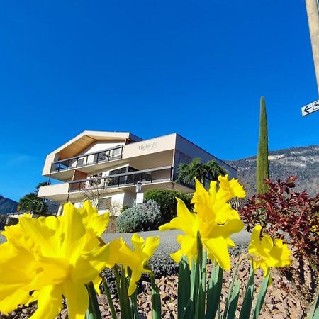 Highlight Apartments Appiano Sulla Strada Del Vino Bagian luar foto