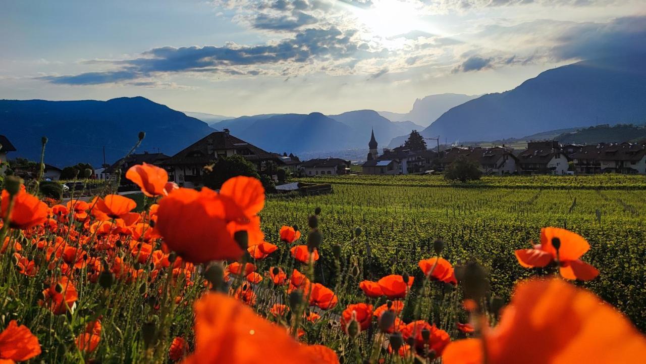 Highlight Apartments Appiano Sulla Strada Del Vino Bagian luar foto