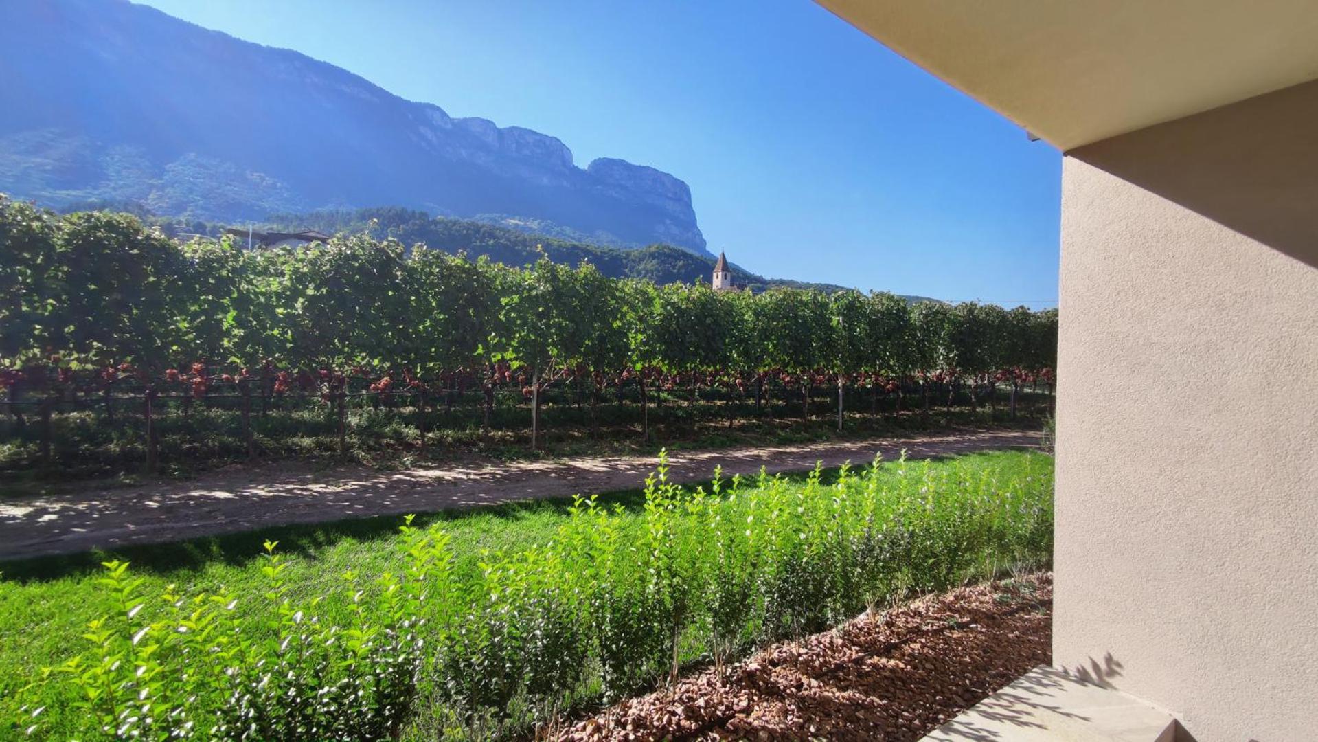 Highlight Apartments Appiano Sulla Strada Del Vino Ruang foto